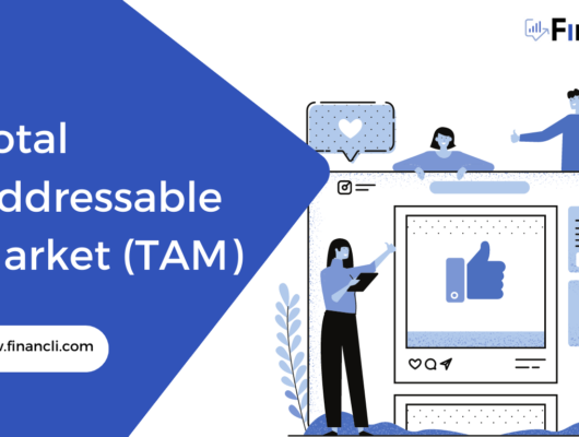 Total Addressable Market (TAM)