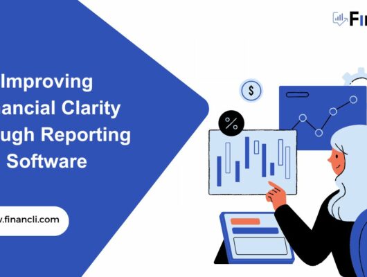 Improving Financial Clarity through Reporting Software